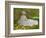 Springtime-Claude Monet-Framed Giclee Print