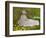 Springtime-Claude Monet-Framed Giclee Print