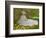 Springtime-Claude Monet-Framed Giclee Print