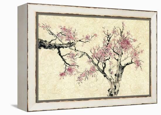 Springtime-Nan Rae-Framed Stretched Canvas