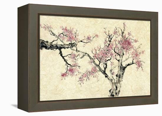 Springtime-Nan Rae-Framed Stretched Canvas