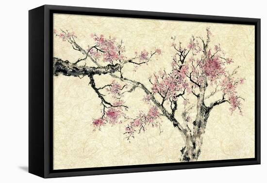 Springtime-Nan Rae-Framed Stretched Canvas