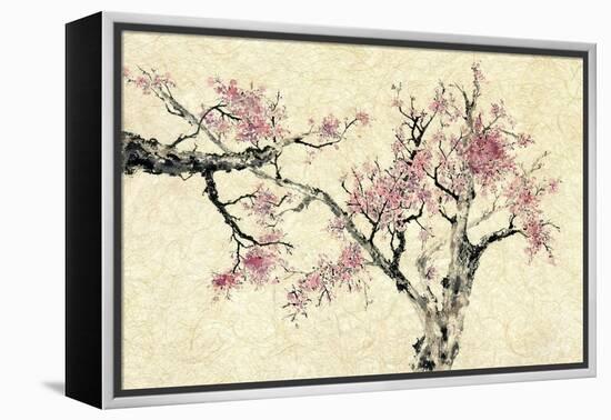 Springtime-Nan Rae-Framed Stretched Canvas