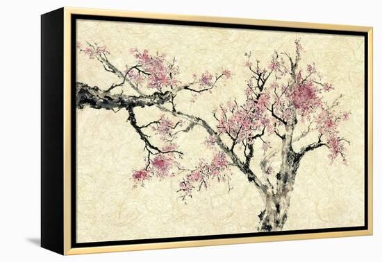 Springtime-Nan Rae-Framed Stretched Canvas