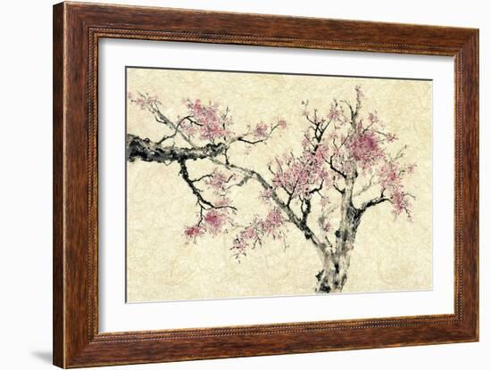 Springtime-Nan Rae-Framed Art Print