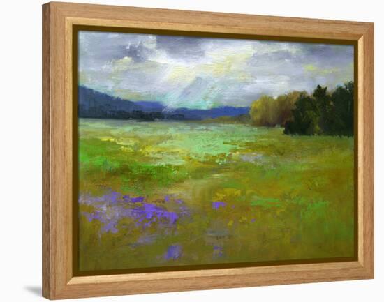 Springtime-Sheila Finch-Framed Stretched Canvas