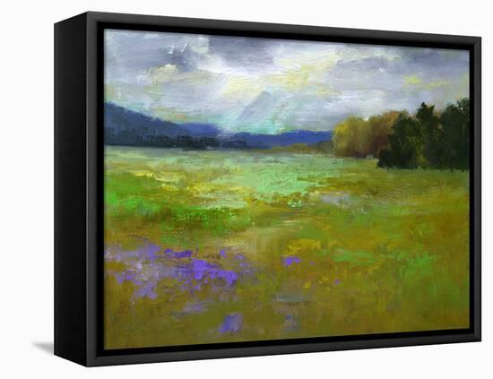 Springtime-Sheila Finch-Framed Stretched Canvas