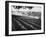 Sprinkler System in Tomato Field-Ralph Crane-Framed Photographic Print