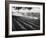 Sprinkler System in Tomato Field-Ralph Crane-Framed Photographic Print