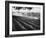 Sprinkler System in Tomato Field-Ralph Crane-Framed Photographic Print