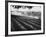 Sprinkler System in Tomato Field-Ralph Crane-Framed Photographic Print