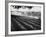 Sprinkler System in Tomato Field-Ralph Crane-Framed Photographic Print