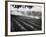 Sprinkler System in Tomato Field-Ralph Crane-Framed Photographic Print