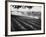 Sprinkler System in Tomato Field-Ralph Crane-Framed Photographic Print