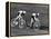 Sprint Cyclists-null-Framed Premier Image Canvas