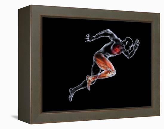 Sprinter, Artwork-SMETEK-Framed Premier Image Canvas