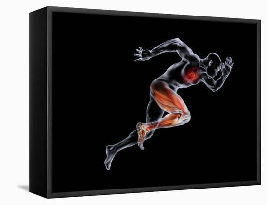 Sprinter, Artwork-SMETEK-Framed Premier Image Canvas