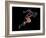 Sprinter, Artwork-SMETEK-Framed Photographic Print