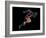 Sprinter, Artwork-SMETEK-Framed Photographic Print