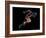 Sprinter, Artwork-SMETEK-Framed Photographic Print