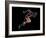 Sprinter, Artwork-SMETEK-Framed Photographic Print