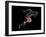 Sprinter, Artwork-SMETEK-Framed Photographic Print