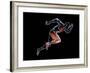 Sprinter, Artwork-SMETEK-Framed Photographic Print