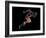 Sprinter, Artwork-SMETEK-Framed Photographic Print