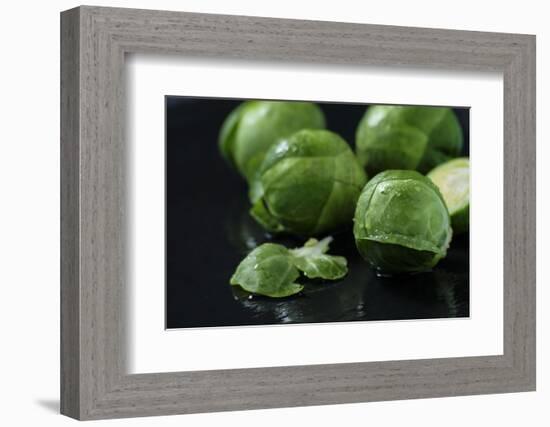 Sprouts on Black Background-Jana Ihle-Framed Photographic Print