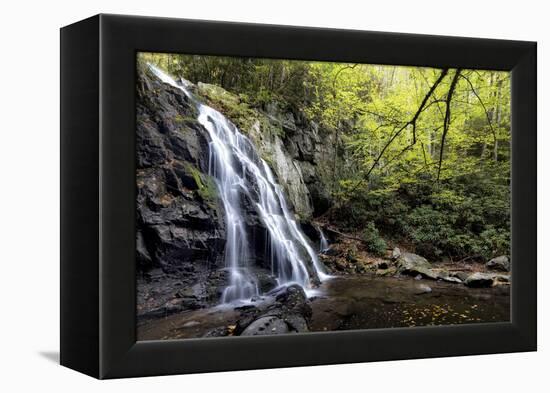 Spruce Flat Falls at Morning-Danny Head-Framed Premier Image Canvas