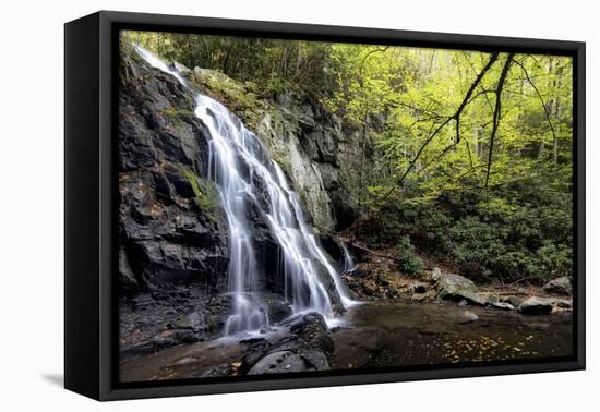 Spruce Flat Falls at Morning-Danny Head-Framed Premier Image Canvas