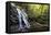 Spruce Flat Falls at Morning-Danny Head-Framed Premier Image Canvas