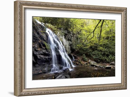Spruce Flat Falls at Morning-Danny Head-Framed Photographic Print