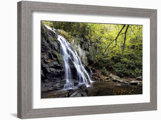 Spruce Flat Falls at Morning-Danny Head-Framed Photographic Print