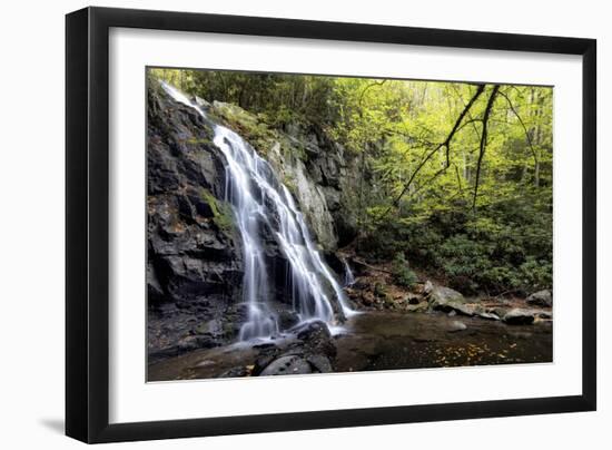 Spruce Flat Falls at Morning-Danny Head-Framed Photographic Print