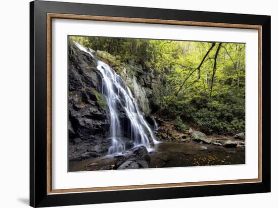 Spruce Flat Falls at Morning-Danny Head-Framed Photographic Print