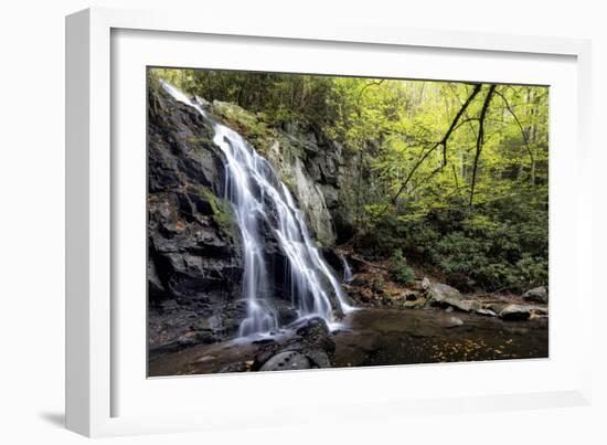 Spruce Flat Falls at Morning-Danny Head-Framed Photographic Print