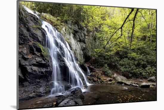 Spruce Flat Falls at Morning-Danny Head-Mounted Photographic Print