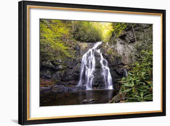 Spruce Flat Falls-Danny Head-Framed Photographic Print