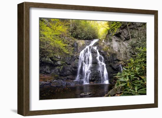 Spruce Flat Falls-Danny Head-Framed Photographic Print