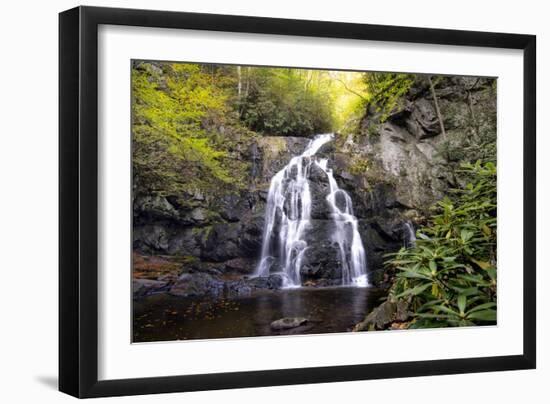 Spruce Flat Falls-Danny Head-Framed Photographic Print