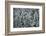 Spruce Forest, Detail, Trees, Snow-Covered, Nature-Ronald Wittek-Framed Photographic Print