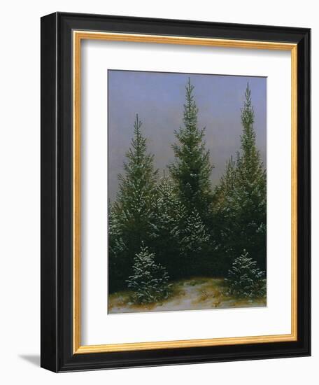 Spruce Forest in Snow (Dresdner Heide I.), ca. 1828-Caspar David Friedrich-Framed Giclee Print