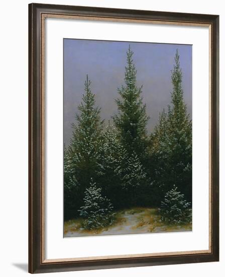 Spruce Forest in Snow (Dresdner Heide I.), ca. 1828-Caspar David Friedrich-Framed Giclee Print