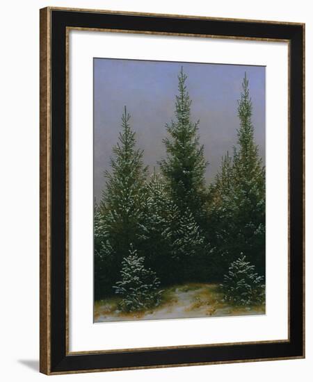 Spruce Forest in Snow (Dresdner Heide I.), ca. 1828-Caspar David Friedrich-Framed Giclee Print