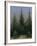 Spruce Forest in Snow (Dresdner Heide I.), ca. 1828-Caspar David Friedrich-Framed Giclee Print