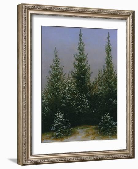 Spruce Forest in Snow (Dresdner Heide I.), ca. 1828-Caspar David Friedrich-Framed Giclee Print