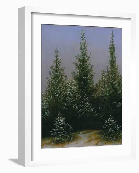 Spruce Forest in Snow (Dresdner Heide I.), ca. 1828-Caspar David Friedrich-Framed Giclee Print