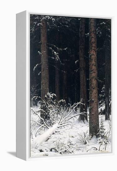 Spruce Forest in Winter, 1884-Ivan Ivanovitch Shishkin-Framed Premier Image Canvas