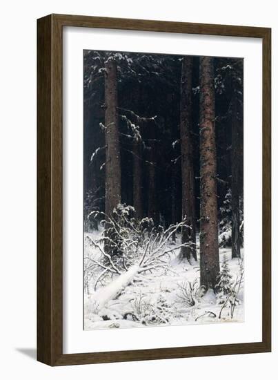 Spruce Forest in Winter, 1884-Ivan Ivanovitch Shishkin-Framed Giclee Print